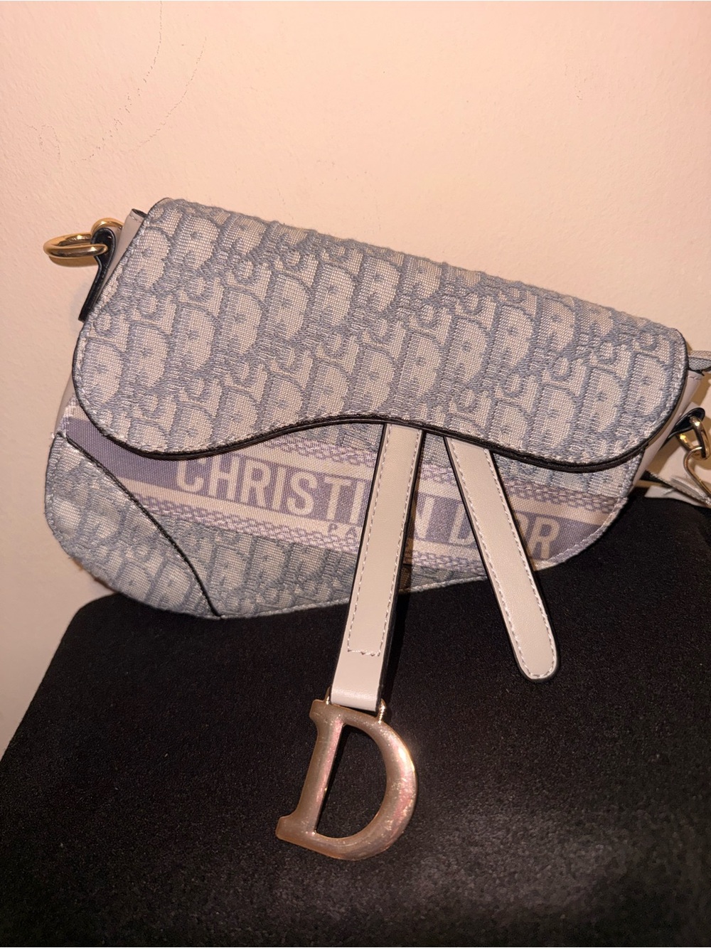 Oblique Saddle Crossbody Bag